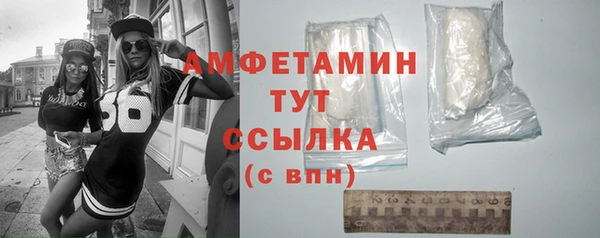 дмт Дмитров