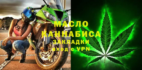 дмт Дмитров