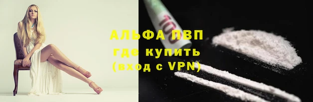 МДПВ Дмитриев
