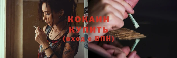 дмт Дмитров