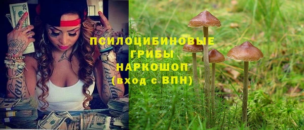 МДПВ Дмитриев