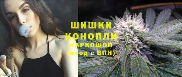 дмт Дмитров