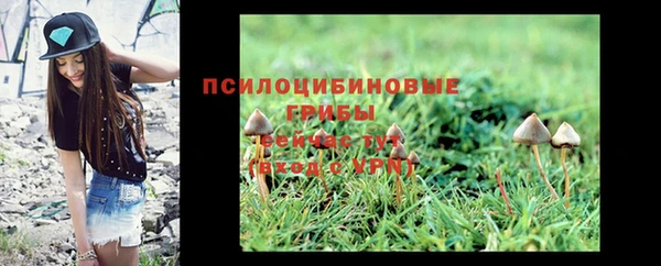 дмт Дмитров