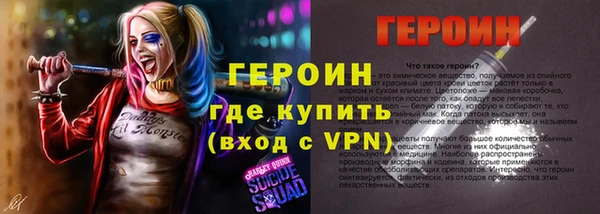 МДПВ Дмитриев