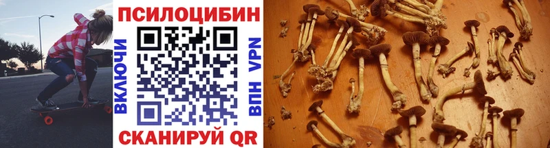 Псилоцибиновые грибы Cubensis  Купить  Чебаркуль 